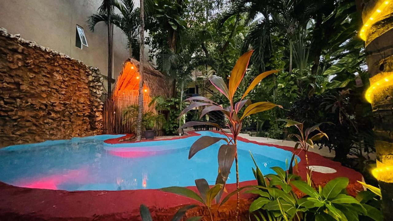 Hotel B&B - 5Th Avenue Playa del Carmen Zewnętrze zdjęcie The swimming pool at the hotel