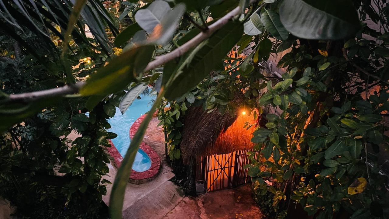 Hotel B&B - 5Th Avenue Playa del Carmen Zewnętrze zdjęcie Entrance to the Jungle