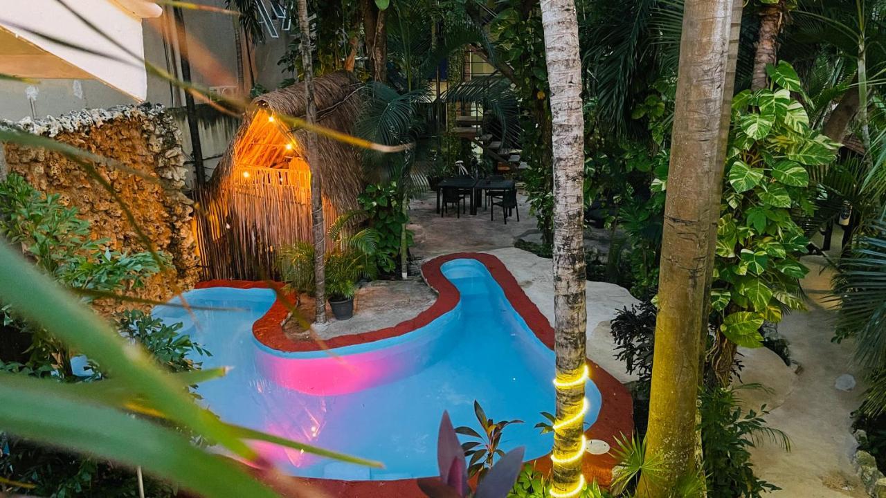 Hotel B&B - 5Th Avenue Playa del Carmen Zewnętrze zdjęcie The pool at the hotel