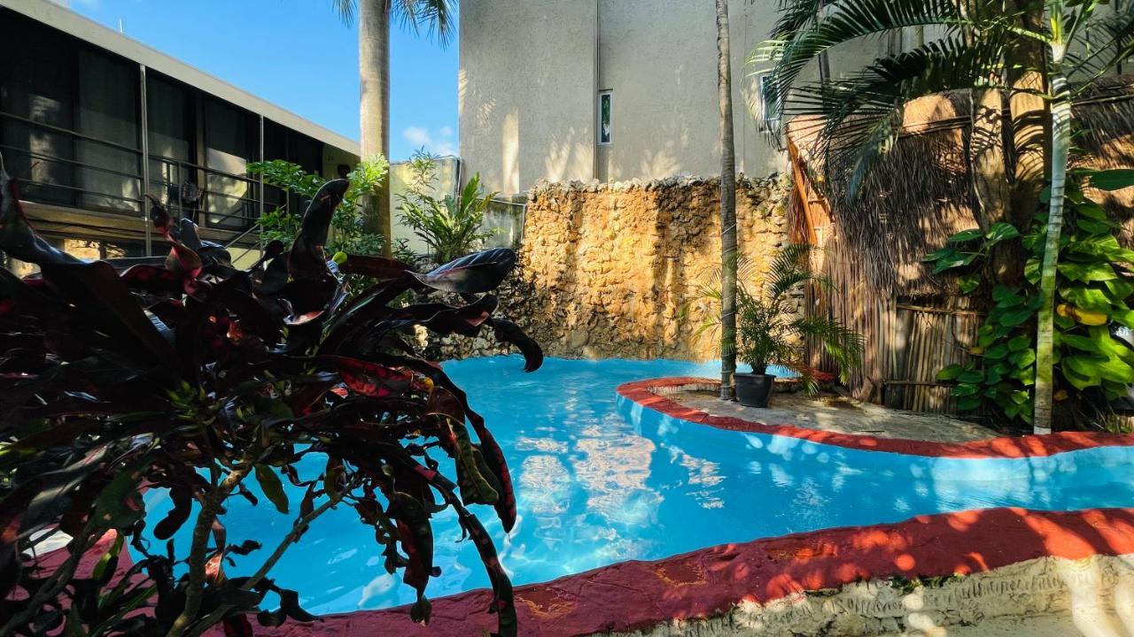 Hotel B&B - 5Th Avenue Playa del Carmen Zewnętrze zdjęcie The pool at the hotel