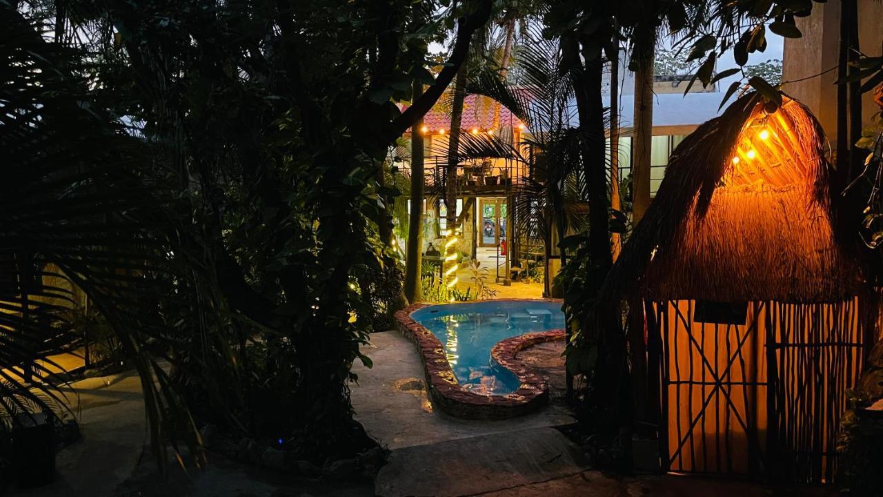 Hotel B&B - 5Th Avenue Playa del Carmen Zewnętrze zdjęcie The swimming pool at the hotel