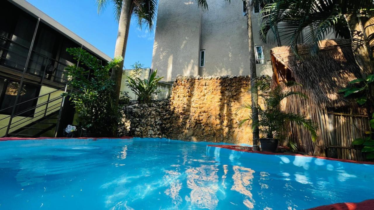 Hotel B&B - 5Th Avenue Playa del Carmen Zewnętrze zdjęcie The swimming pool at the hotel